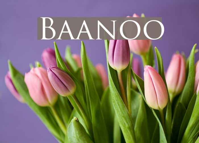 Baanoo Font examples