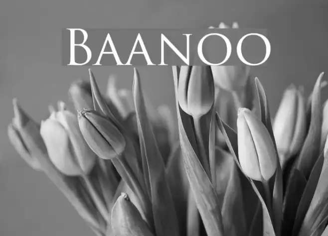 Baanoo Polices examples