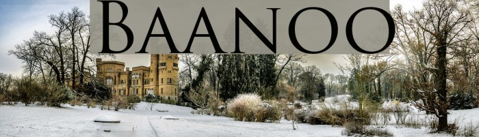 Baanoo Font examples