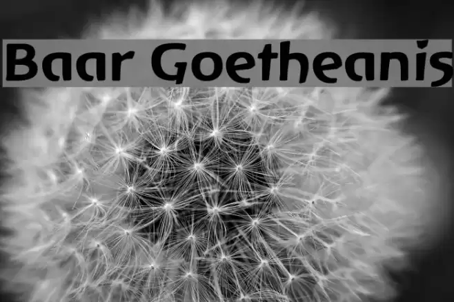 Baar Goetheanis फ़ॉन्ट examples