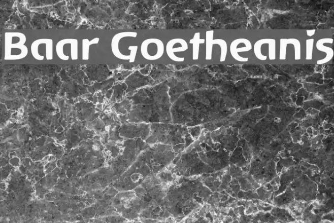 Baar Goetheanis फ़ॉन्ट examples