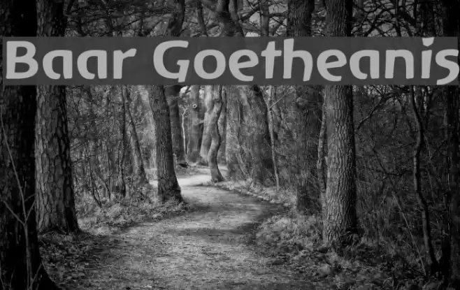 Baar Goetheanis फ़ॉन्ट examples