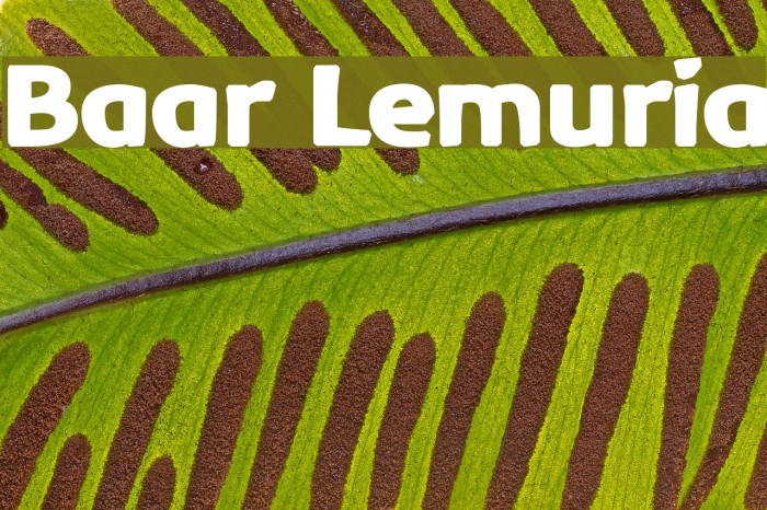 Baar Lemuria Font examples