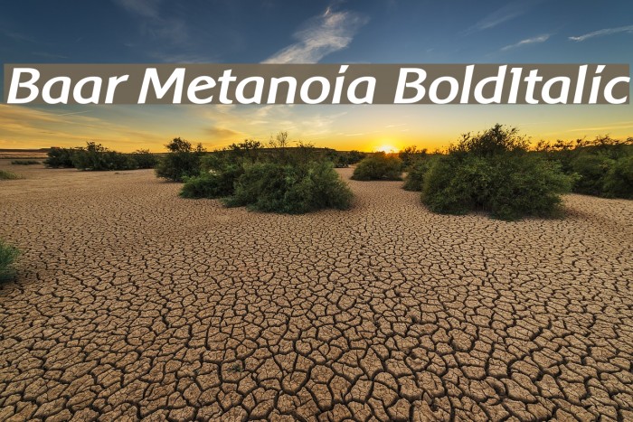 Baar Metanoia BoldItalic Font examples
