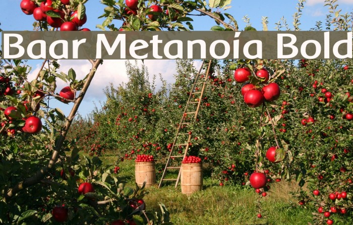 Baar Metanoia Bold Font examples