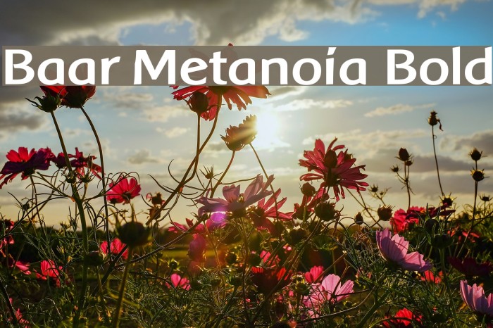 Baar Metanoia Bold Font examples