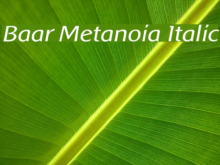 Baar Metanoia Italic Font examples