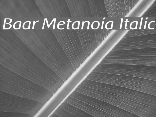 Baar Metanoia Italic फ़ॉन्ट examples