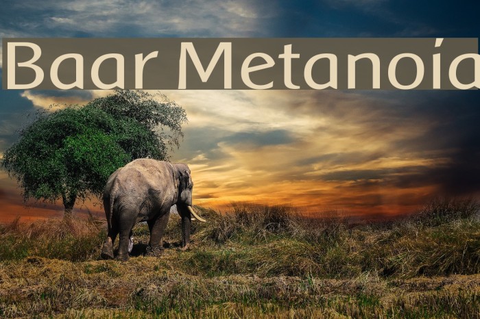 Baar Metanoia Font examples