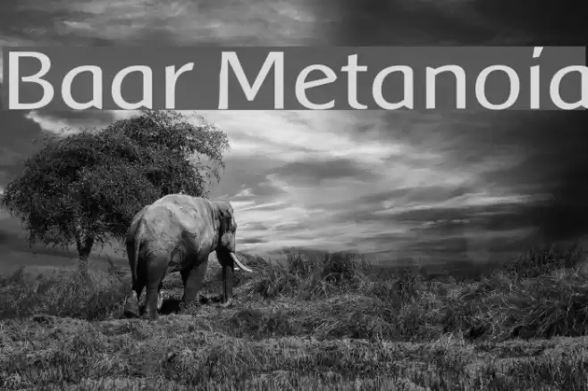 Baar Metanoia خط examples