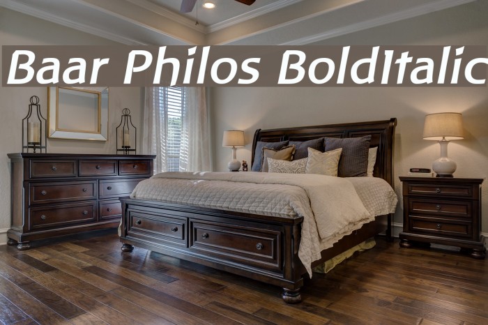 Baar Philos BoldItalic フォント examples