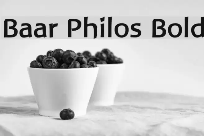 Baar Philos Bold Font examples