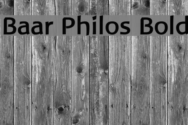 Baar Philos Bold Font examples