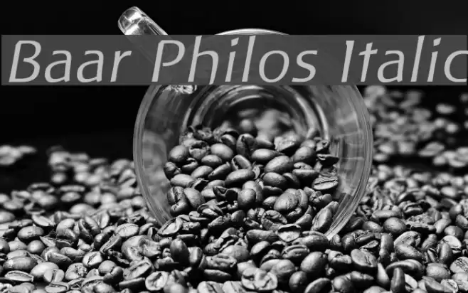 Baar Philos Italic Font examples
