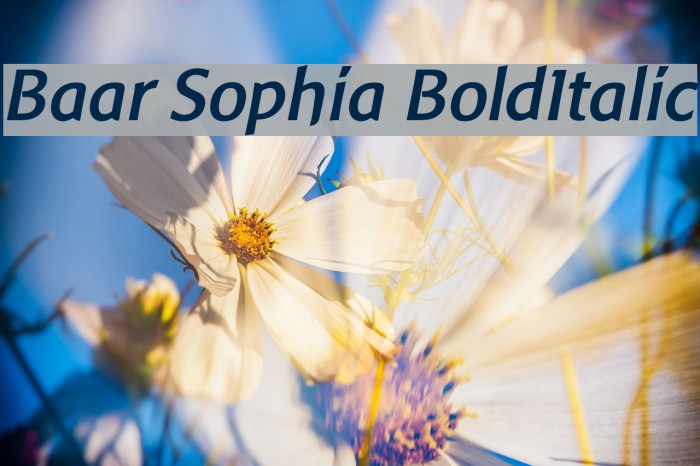 Baar Sophia BoldItalic Font examples