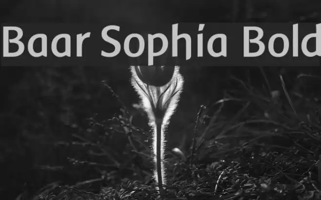Baar Sophia Bold フォント examples