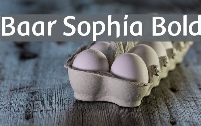 Baar Sophia Bold Polices examples