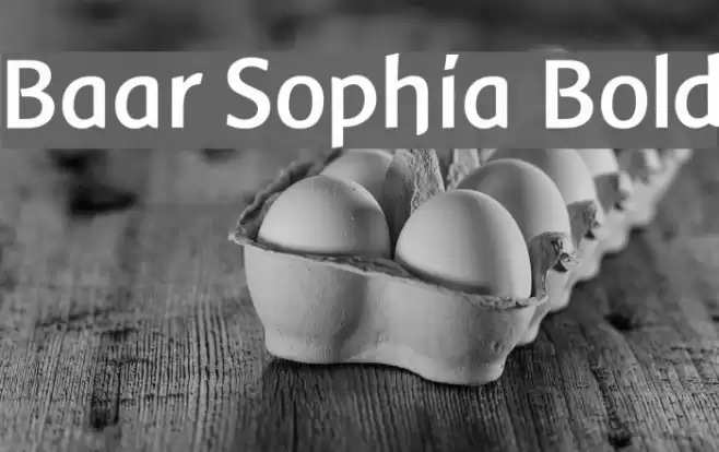 Baar Sophia Bold フォント examples