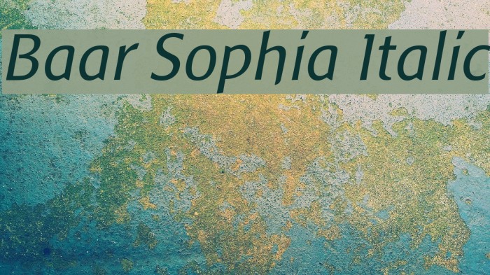 Baar Sophia Italic Font examples