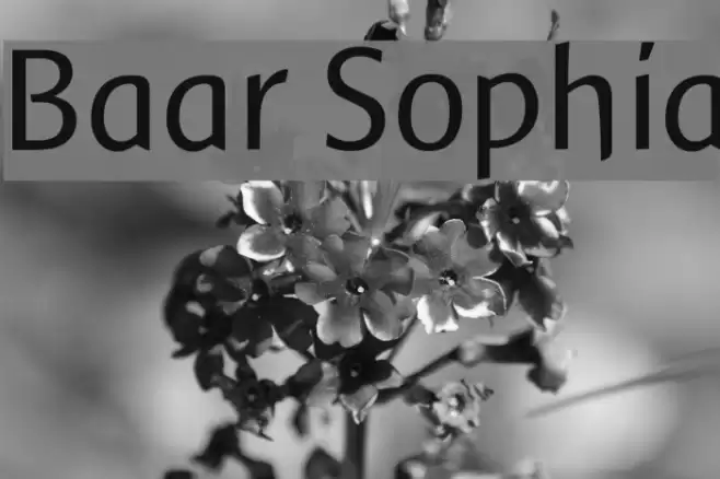 Baar Sophia Font examples