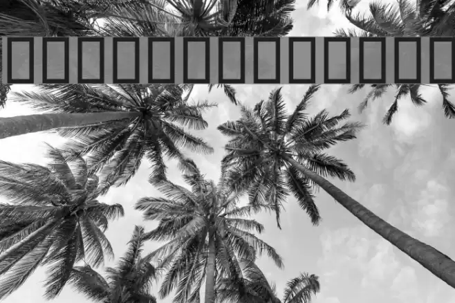 Baaraan Outline Font examples