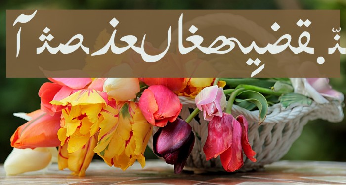 BabaFrid Font examples