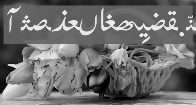 BabaFrid Font examples