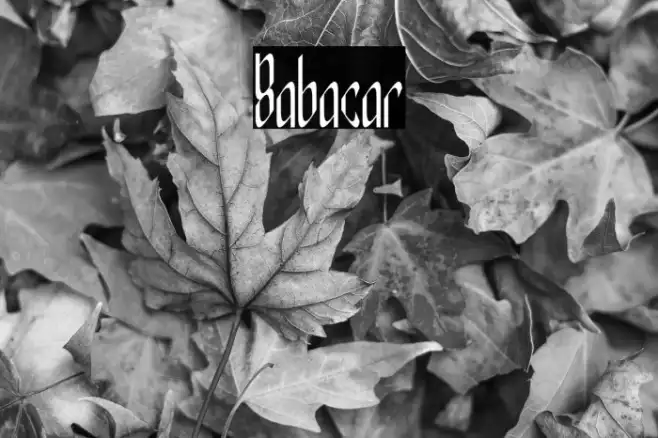 Babacar Example 1