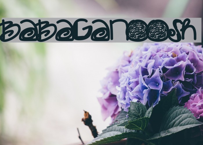 Babaganoosh Polices examples
