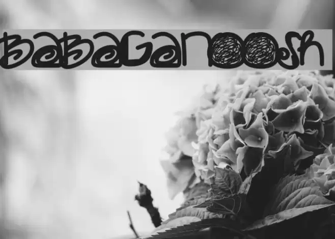 Babaganoosh Polices examples