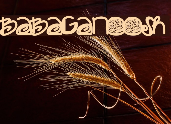 Babaganoosh Polices examples