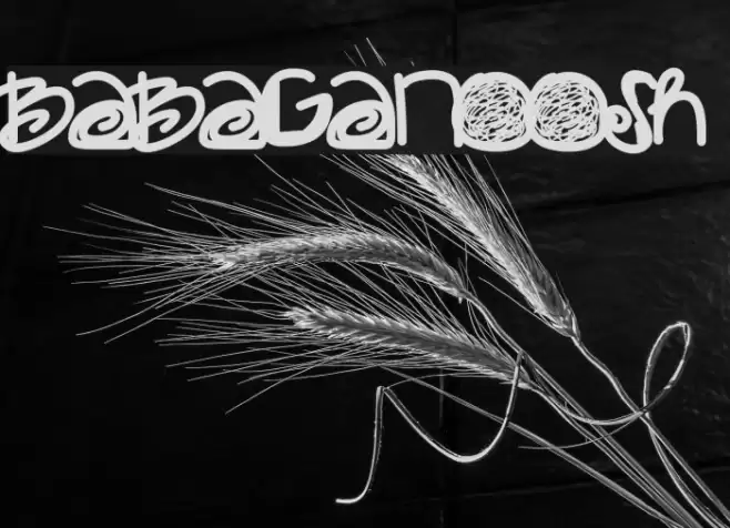 Babaganoosh Polices examples