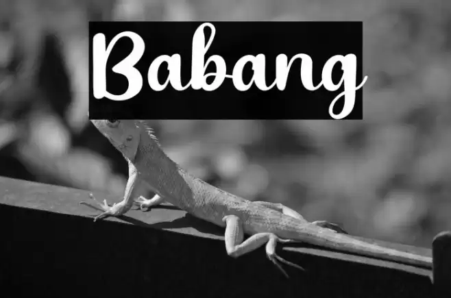 Babang Font examples