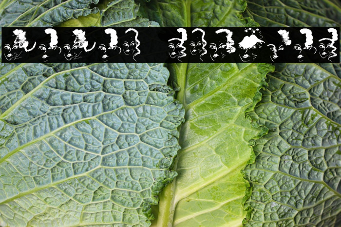 Babaye Regular Example 1