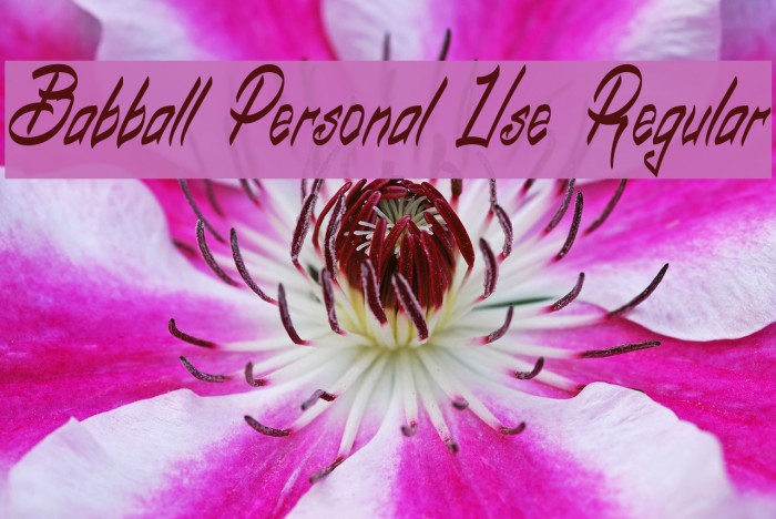 Babball Personal Use Regular Font examples