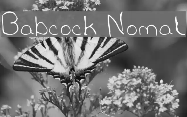 Babcock Normal Schriftart examples