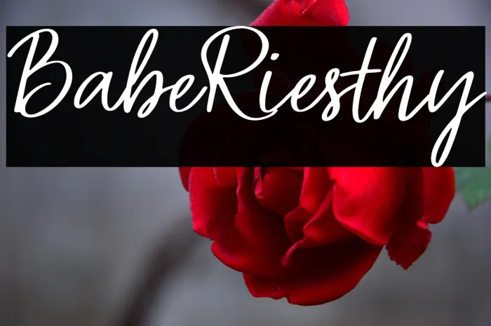 Babe Riesthy Example 1