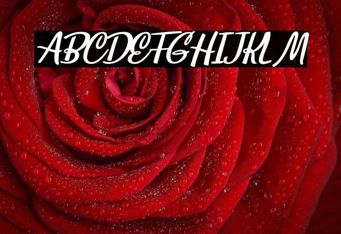 Babeface Personal Use Regular Example 3