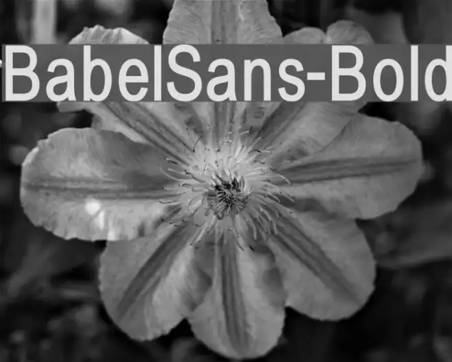BabelSans-Bold Example 2