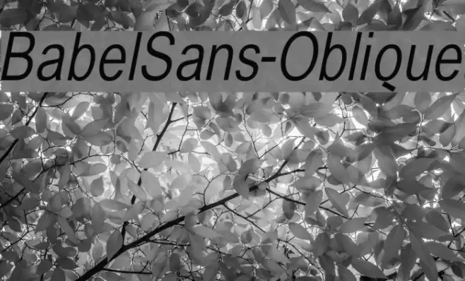 BabelSans-Oblique Font examples