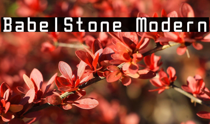 BabelStone Modern Example 1