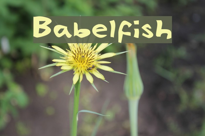 Babelfish Font examples