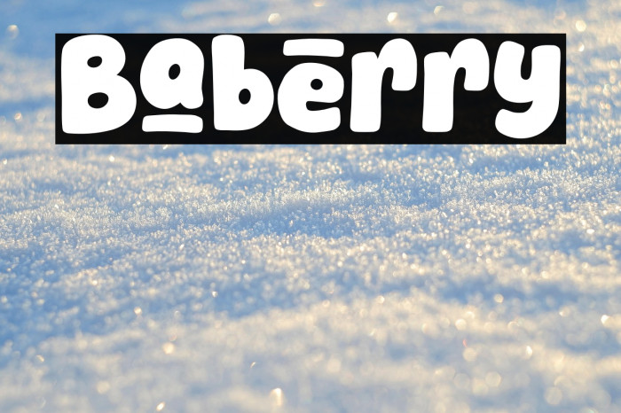 Baberry Example 3