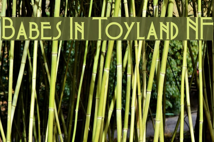 Babes In Toyland NF Font examples