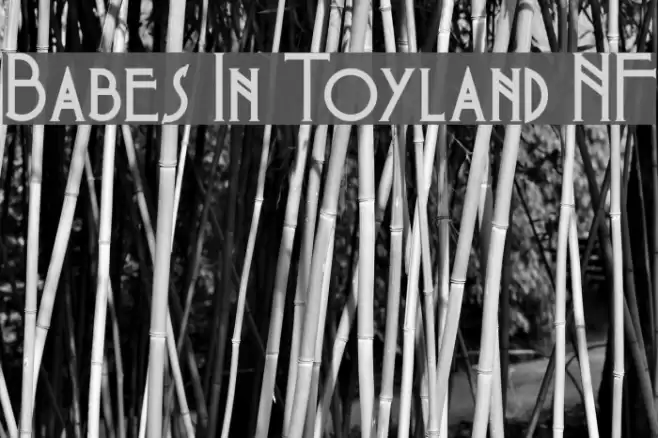 Babes In Toyland NF Шрифта examples
