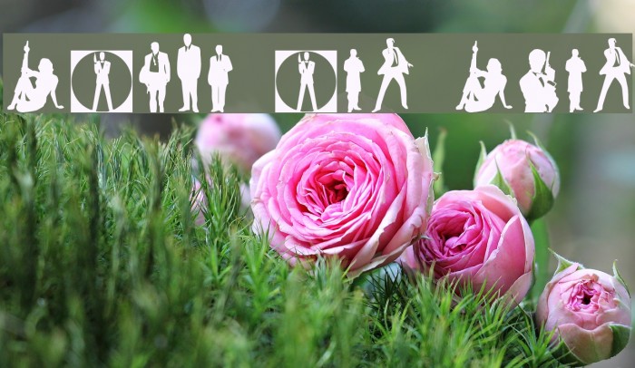 Babes and Bond Font examples