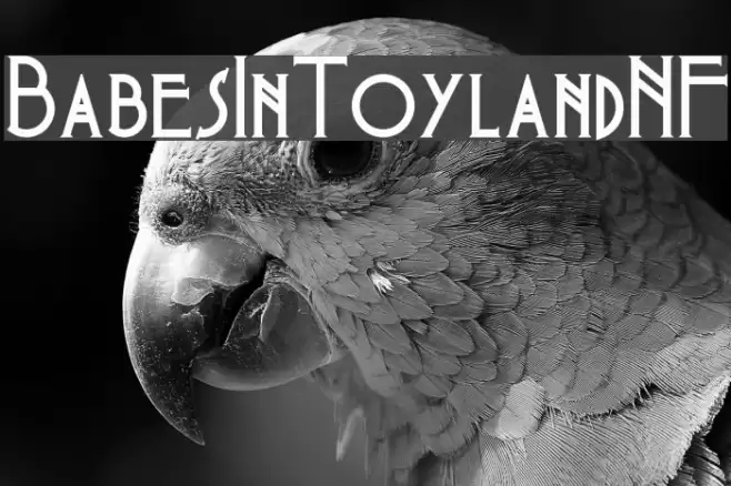 BabesInToylandNF Font examples
