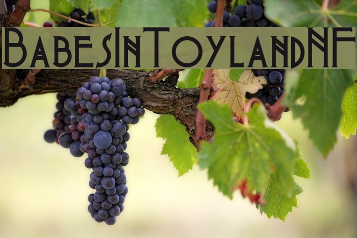 BabesInToylandNF Example 3