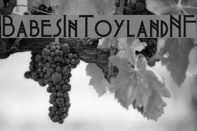 BabesInToylandNF Font examples
