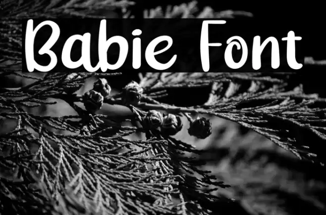 Babie Example 3